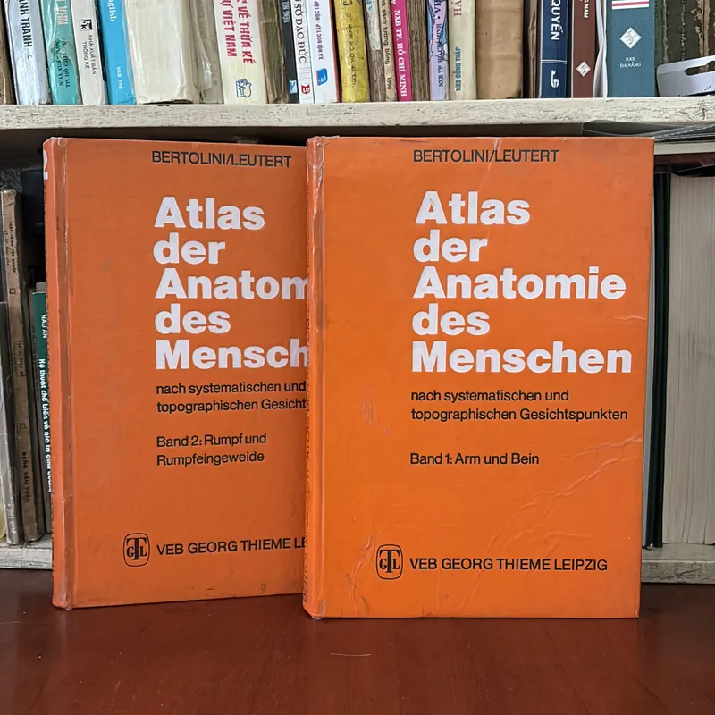 II Atlas der Anatomie des Menschen - Band 1 + 2 - Bertolini, Leutert - 1987 593995