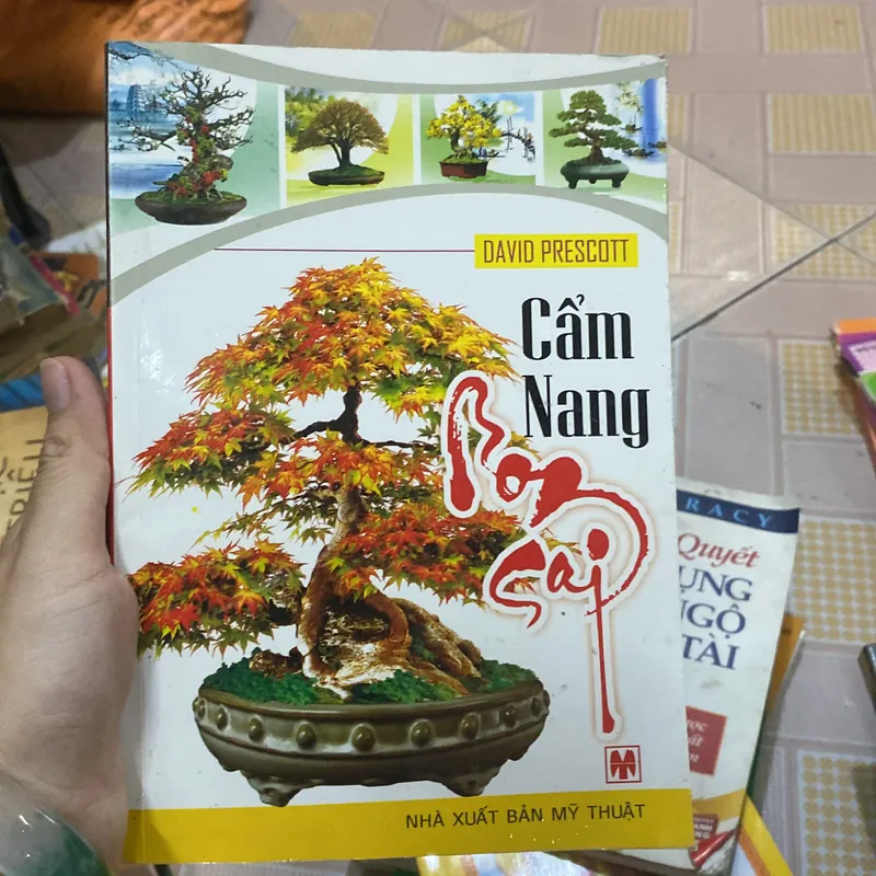 Cẩm nang Bon Sai 736369