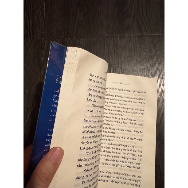 Hồ - Banana Yoshimoto 466251