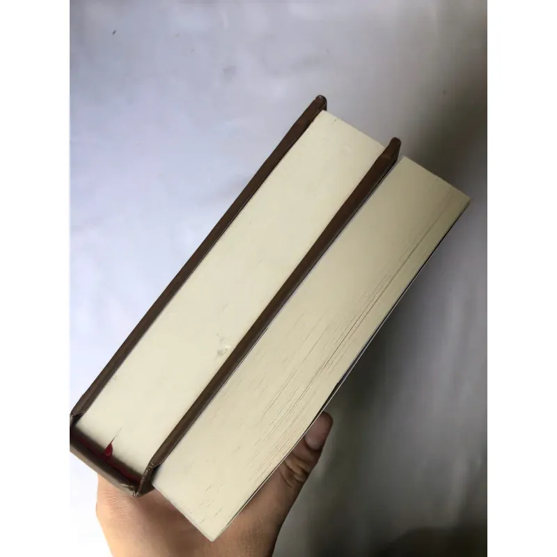 Không gia đình - Hector Malot 734733