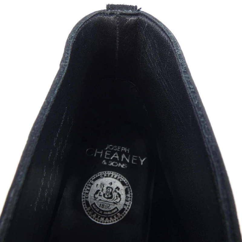 Giày CHEANEY - Hàng hiệu Authentic 901936