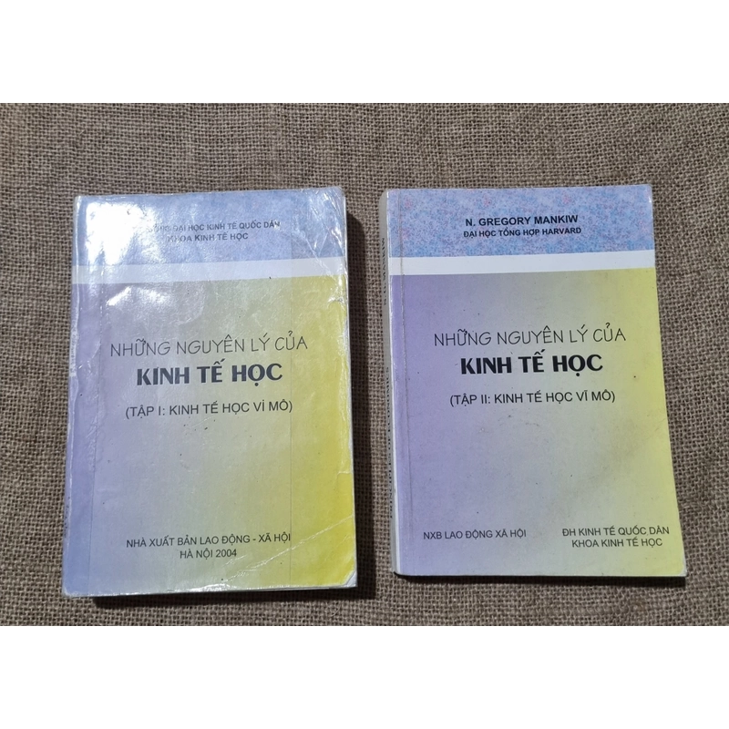 Những nguyên lý của kinh tế học | kinh tế vĩ mô và kinh tế vĩ mô| Mankiiw 327185