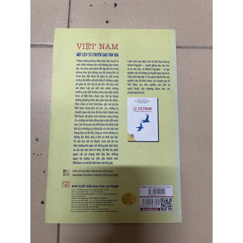 Việt Nam một lịch sử chuyển giao văn hóa (b) 990103