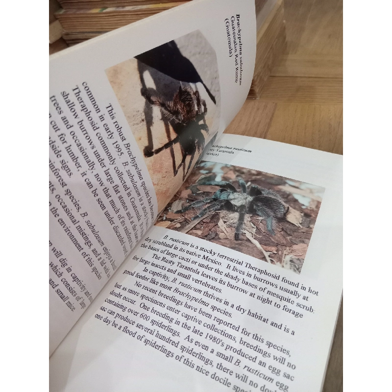 A color guide to Tarantulas of the World - Russ Gurley 1017637