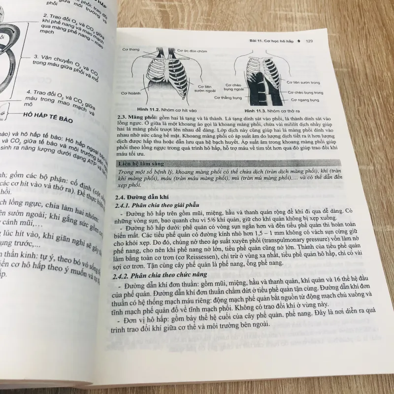 SINH LÝ HỌC Y KHOA 529537