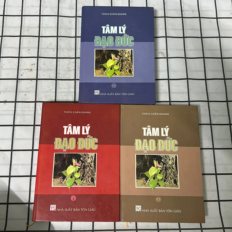 Tâm lý đạo đức 699093