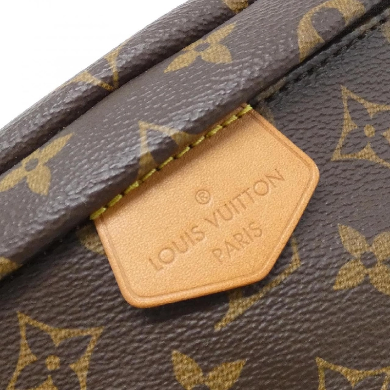 Túi đeo chéo Louis Vuitton Monogram M43644 - Hàng hiệu Authentic 803257