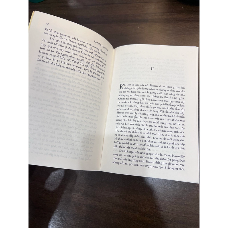 Người đua diều 539586