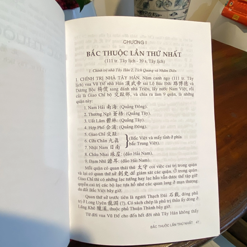 VIỆT NAM SỬ LƯỢC - TRẦN TRỌNG KIM (Bản bìa cứng in năm 1999) 462728