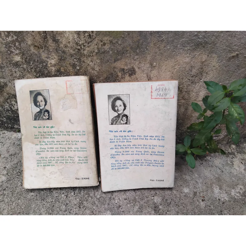 Sống và chết ở Thượng Hải tiểu thuyết của Trịnh Niệm  1019193