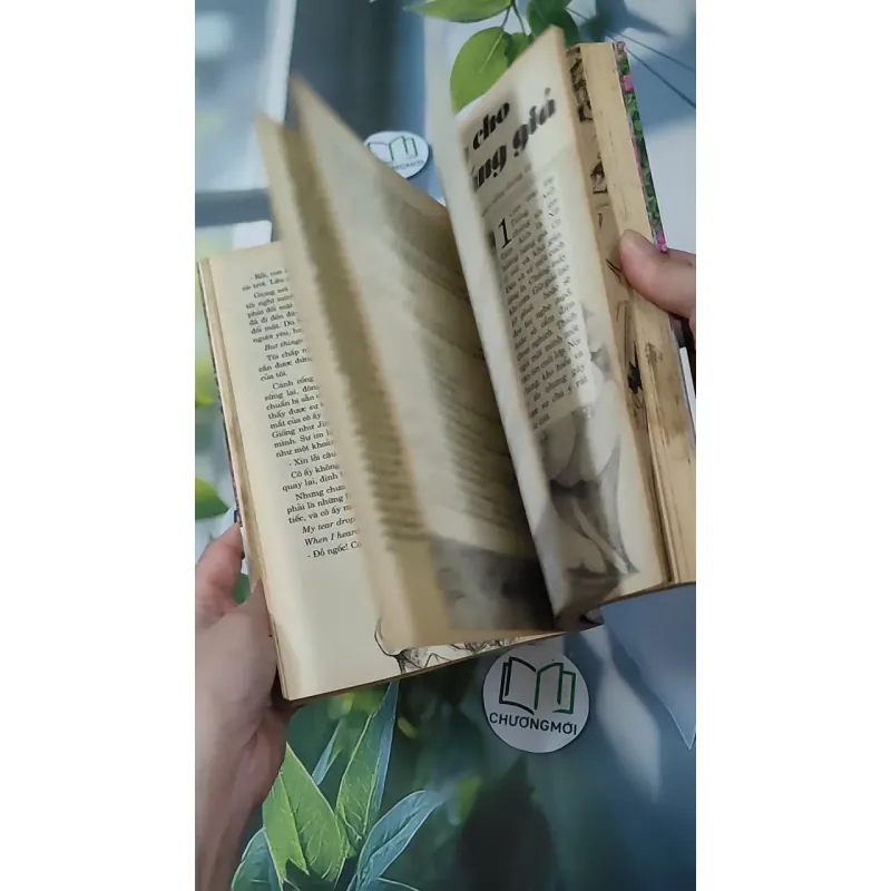 Cảm Ơn Cuộc Sống Một Lần Nữa 1018888