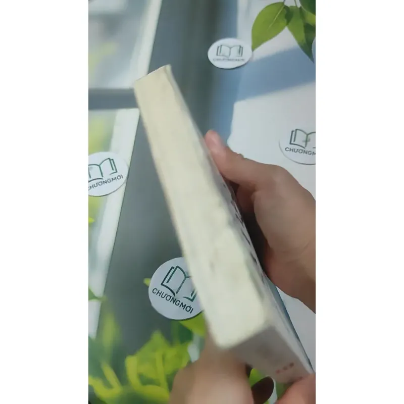 Tâm Tĩnh Lặng - Achaan Chah 727369