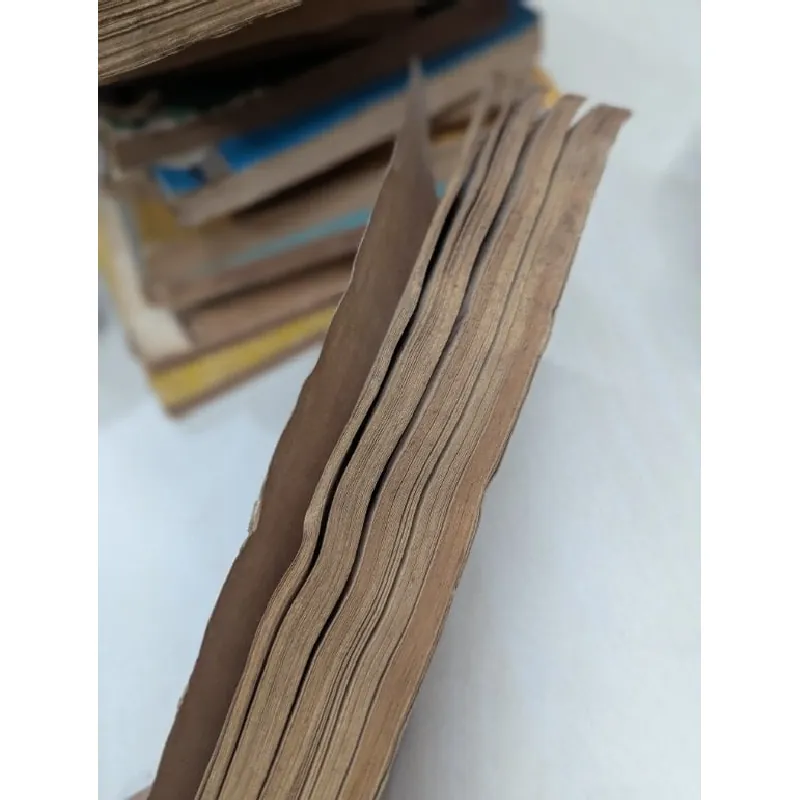 Đuốc thiêng trong sa mạc - Wiliia Cather 703867