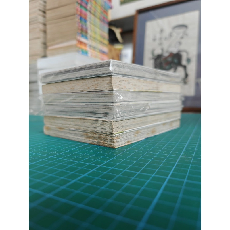 TRUYỆN TRANH Cỏ Phụ Tử - Mi Tagawa 143372