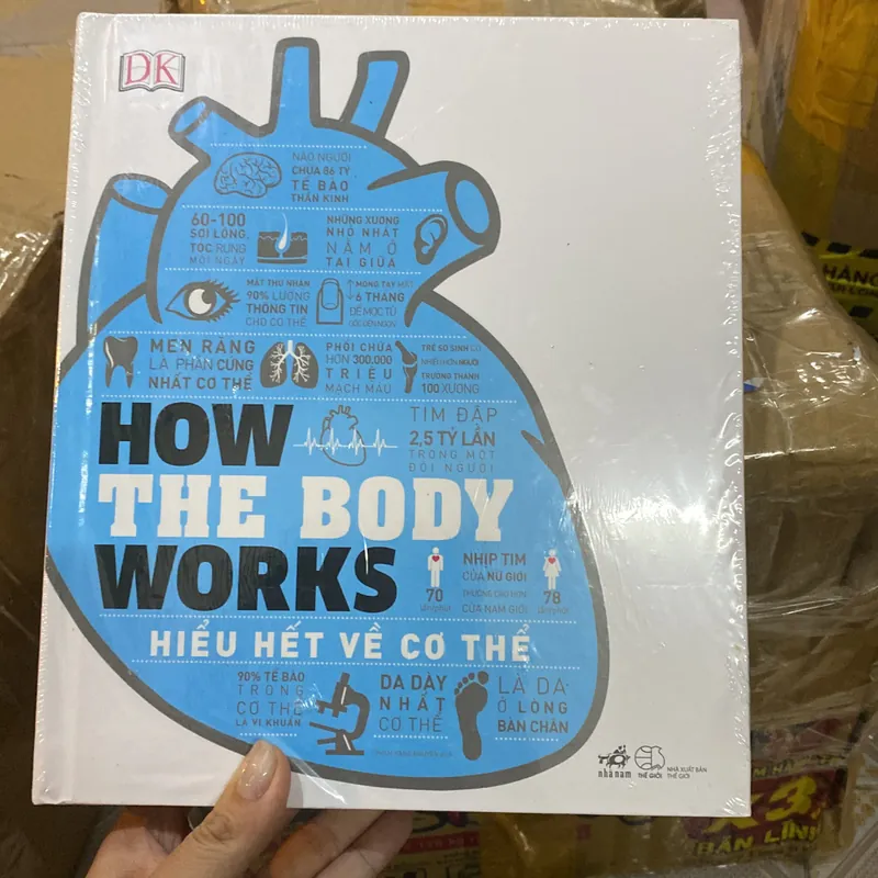 How the body works  606375