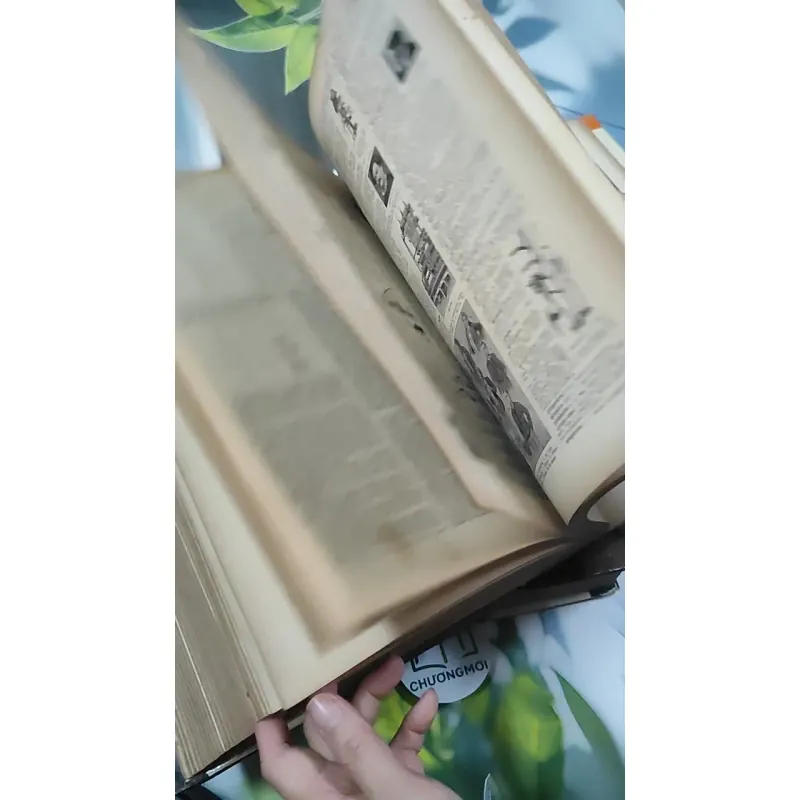 [MIỄN PHÍ BỌC SÁCH] Larousse Universel Vol 1 + 2 - Claude Augé 750844