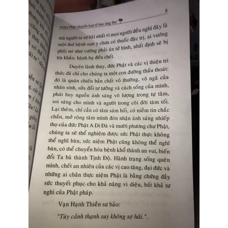 Niệm phật chuyển hoá tế bào ung thư 1009140