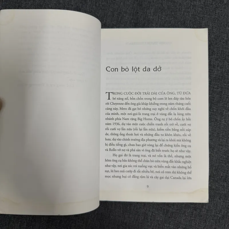 Chuyện tình núi Brokeback - Annie Proulx 761067