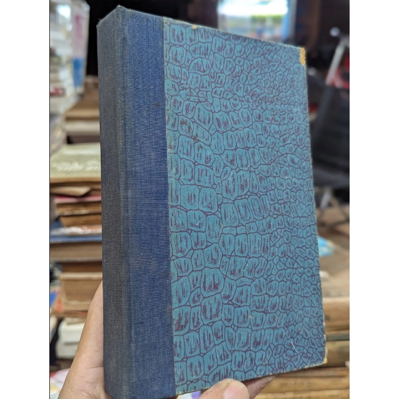 Bóng tối ở cuối đường - Erich Maria Remaque 593619