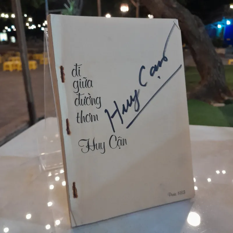 ĐI GIỮA ĐƯỜNG THƠM - HUY CẬN 993870