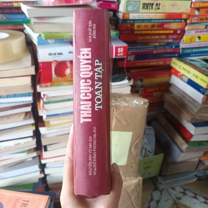 Thái Cực Quyền Toàn Tập- Nguyễn Anh Vũ 1027873
