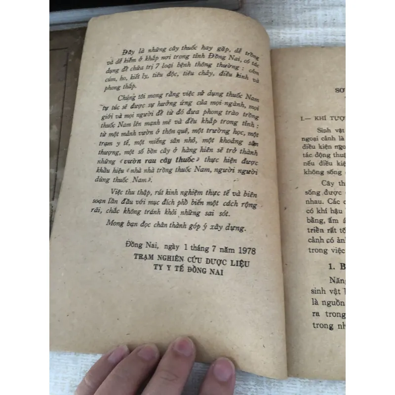 Những kinh nghiệm trồng và sử dụng 1 số cây thuốc nam 995088