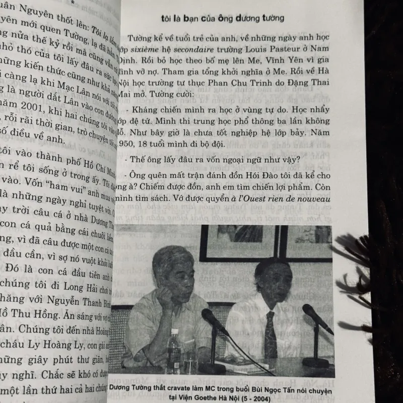 Rừng xưa thay lá 933800