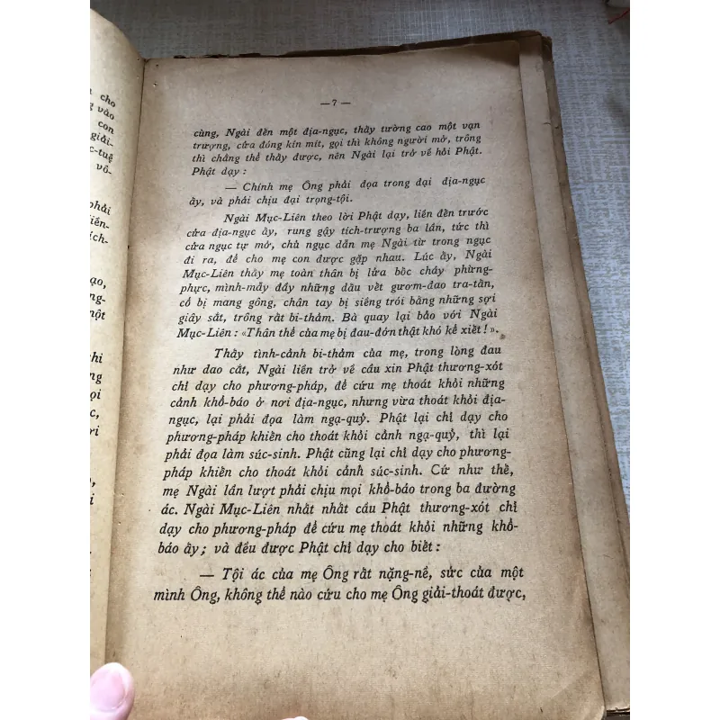 Kinh Mục Liên 992373