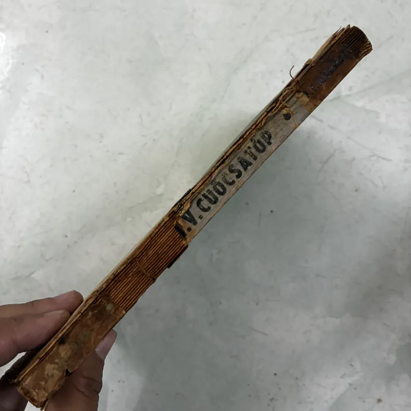 Viên sĩ Iv.cuốc sa tốp 1024579