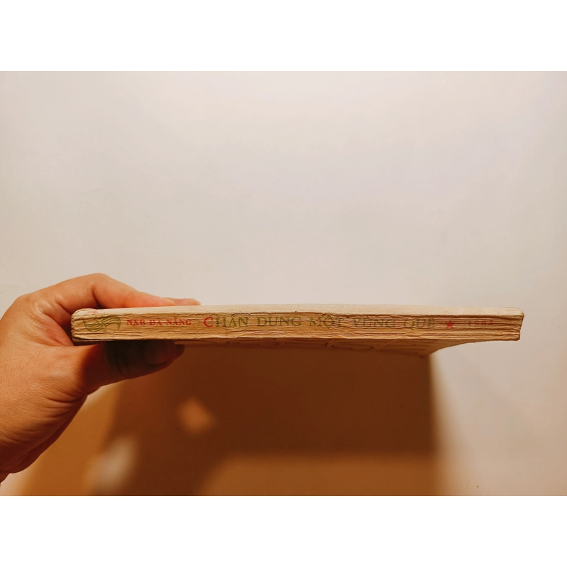 Chân Dung Một Vùng Quê - 
Truyện và ký  452846