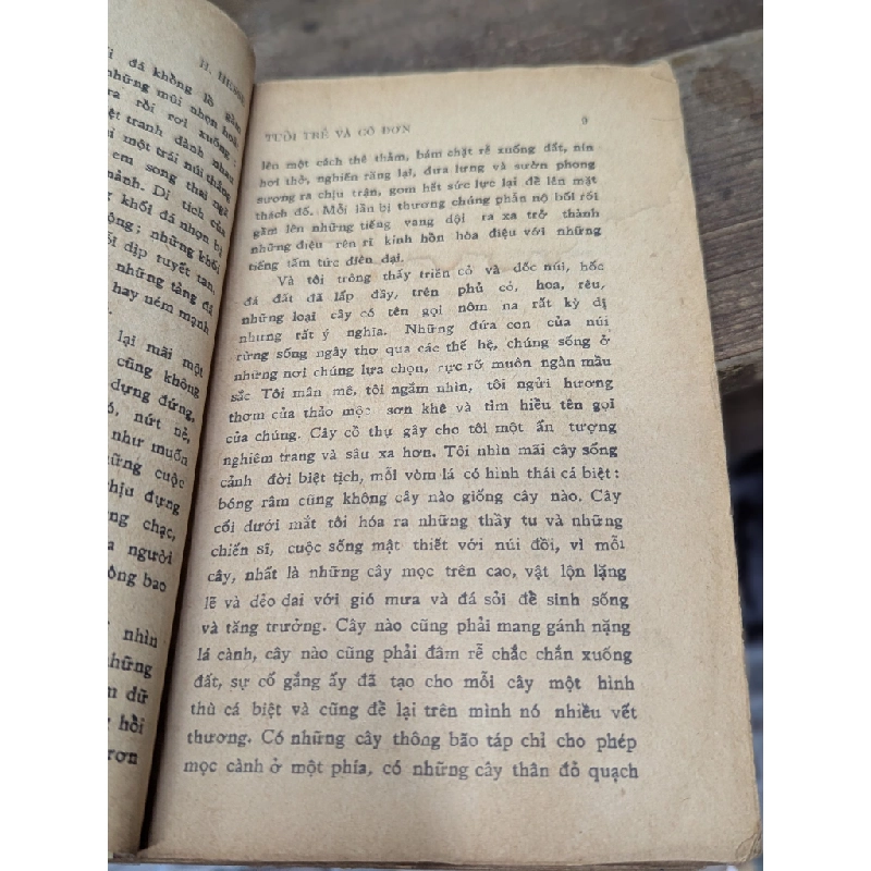 TUỔI TRẺ VÀ CÔ ĐƠN - HERMANN HESSE 150175