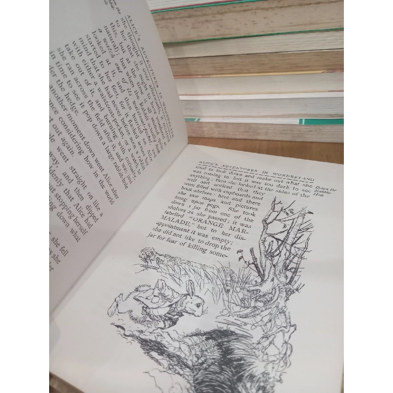 ALICE'S ADVENTURE IN WONDERLAND - Lewis Carroll 222321