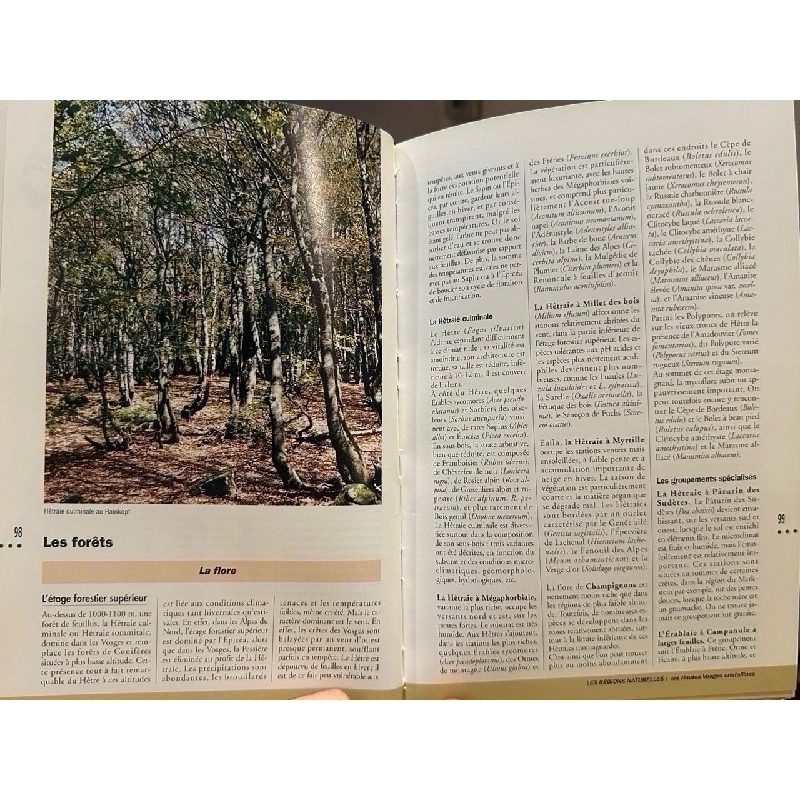 L’asace et les vosges 999604