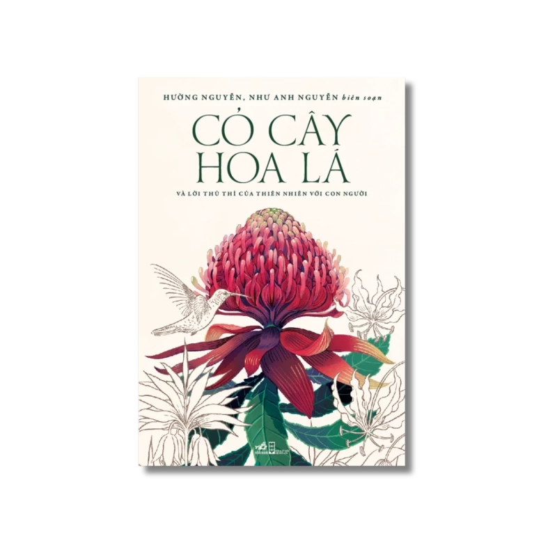 Cỏ cây hoa lá và lời thì thầm của thiên nhiên với con người 724410