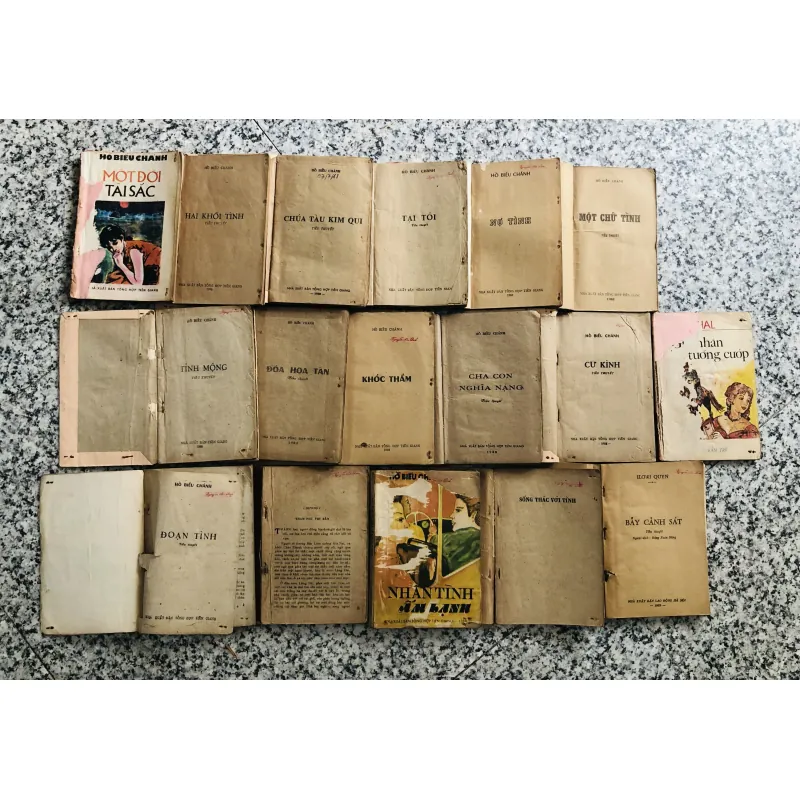 17 cuốn tiểu thuyết Hồ Biểu Chánh 960049