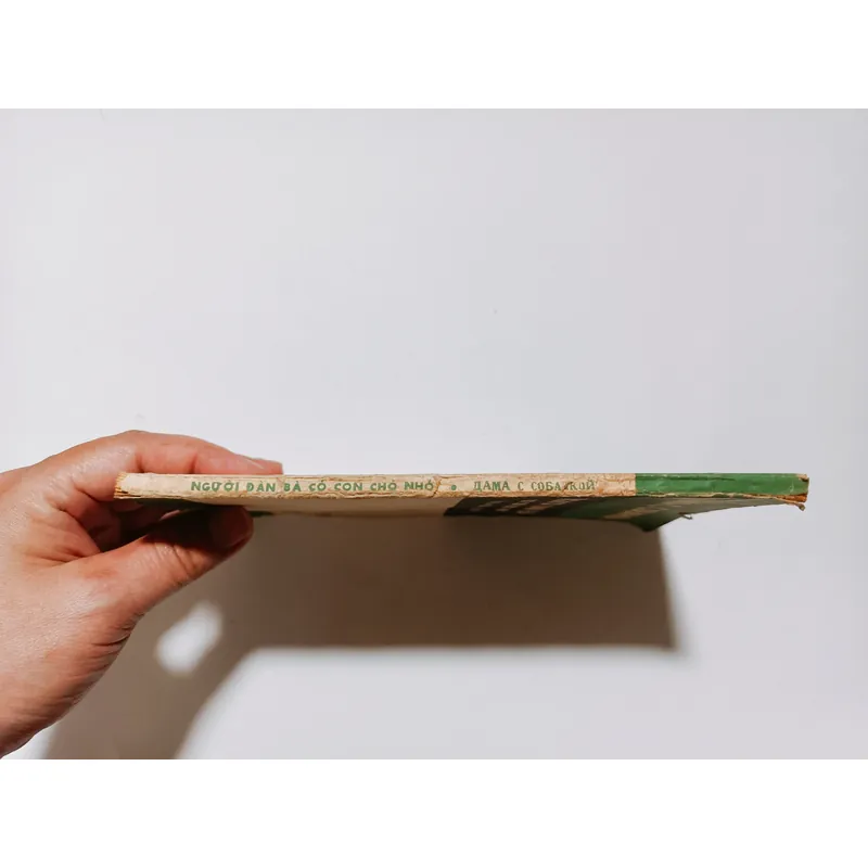 Người Đàn Bà Có Con Chó Nhỏ - Truyện Ngắn A. Tsêkhốp 740768