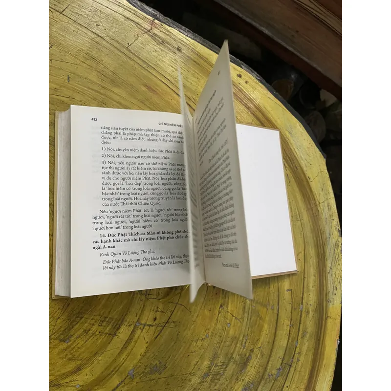 CHỈ NÓI NIỆM PHẬT- NGUYÊN TÁC PHÁP SƯ TỊNH TÔNG 735570