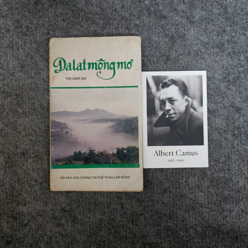 Đà lạt mộng mơ - thơ 1025059