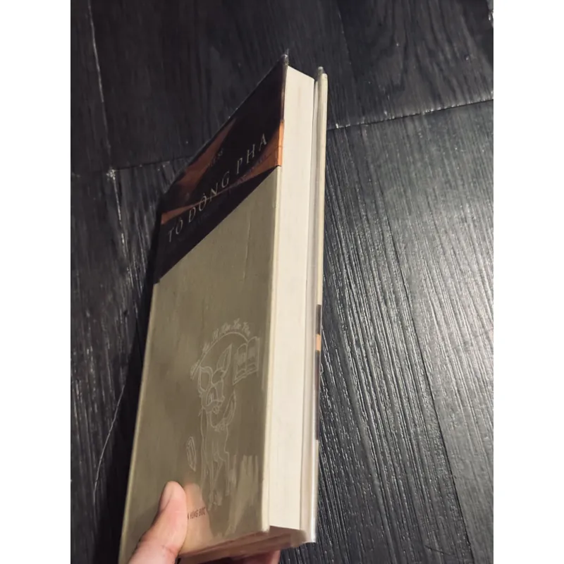 Tô Đông Pha - Tuệ Sỹ (bìa cứng) 689609