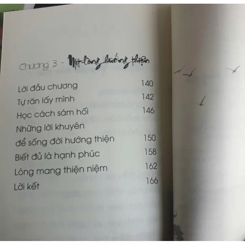 Buông Bỏ Nghiệp Nóng Giận 778358