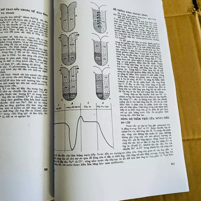 Sinh hoá học hiện đại theo sơ đồ  968702