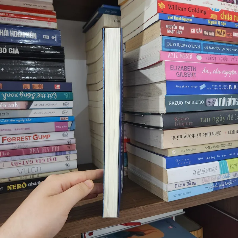 Khu vườn bí mật - Frances Hodgson Burnett 594704