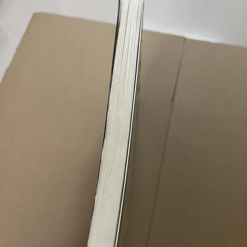 NAPOLEON HILL Kế hoạch làm giàu 365 ngày 600904