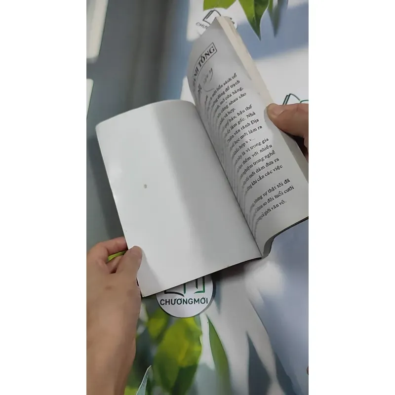 Ngọc Hạp Chánh Tông - Viên Tài - Hà Tấn Phát 776198