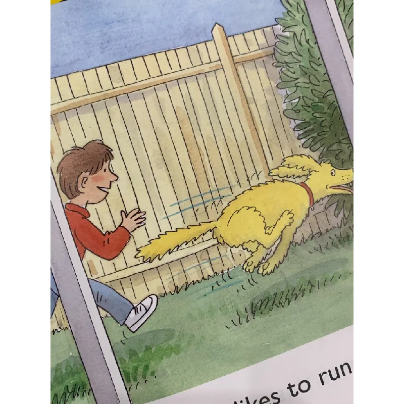 Oxford Reading Tree: What Dogs Like – Roderick Hunt 559660
