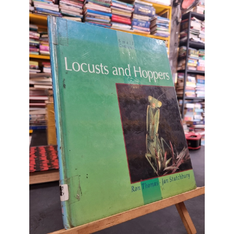 SMALL CREATURES : LOCUSTS AND HOPPERS - R. Thomas & J. Stutchbury 139460