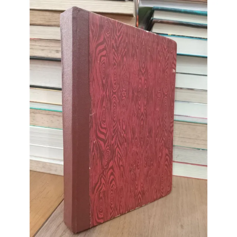 Kỹ thuật nuôi cá trê phi 706078