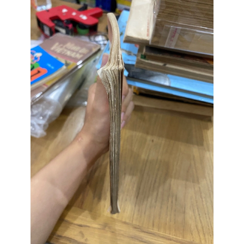 Hướng dẫn tự giải 500 bài tập Toán 6 - Đặng Trần Bảo và Nguyễn Việt Hưng 528740