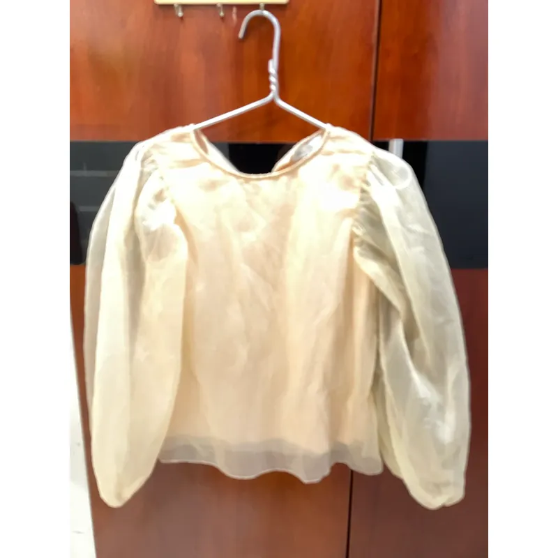 Áo kiểu Voan 596174