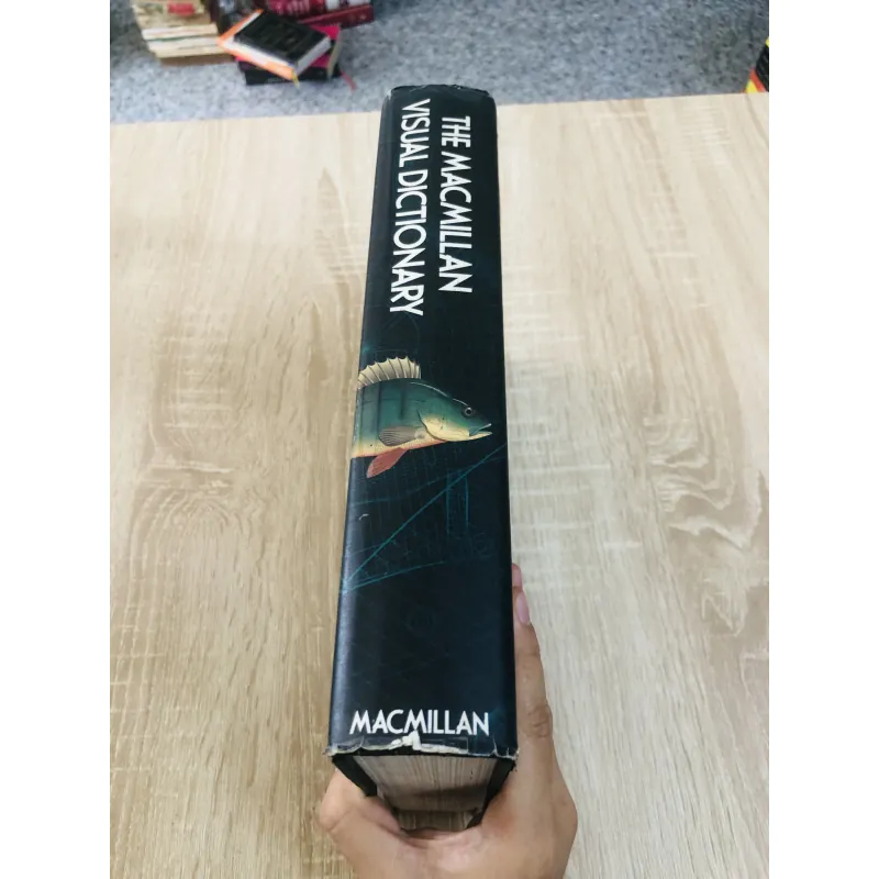 THE MACMILLAN VISUAL DICTIONARY 968636